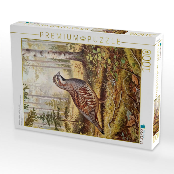 Birkhuhn - seltener Vogel als Gemälde - CALVENDO Foto-Puzzle'