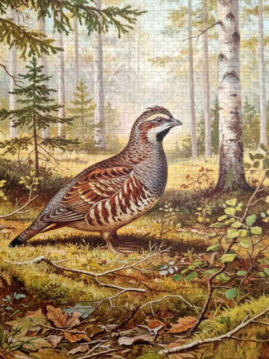 Birkhuhn - seltener Vogel als Gemälde - CALVENDO Foto-Puzzle'