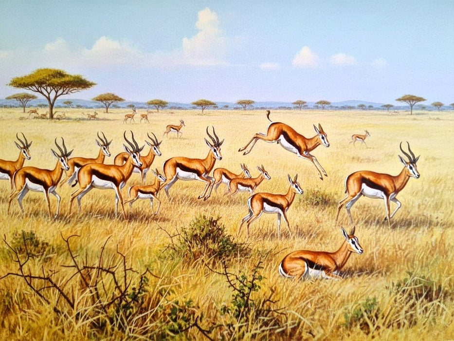 Springböcke mit Jungtieren als Gemälde - CALVENDO Foto-Puzzle'