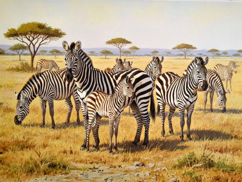 Gemälde einer Herde Zebras mit Nachwuchs - CALVENDO Foto-Puzzle'