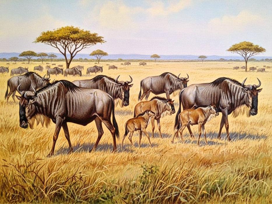 Gemälde einer Herde Gnus in Afrika - CALVENDO Foto-Puzzle'
