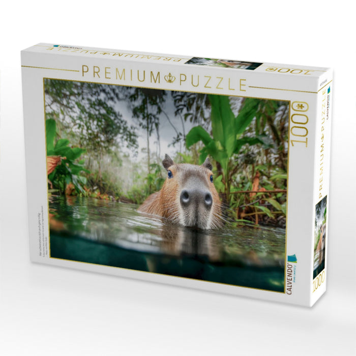 Hier schwimmt es sich auch ganz ruhig - CALVENDO Foto-Puzzle'