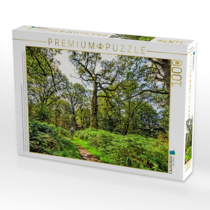 Unterwegs im Urwald Sababurg zwischen Farnen und bizarren Baumveteranen, Hessen, Deutschland - CALVENDO Foto-Puzzle'
