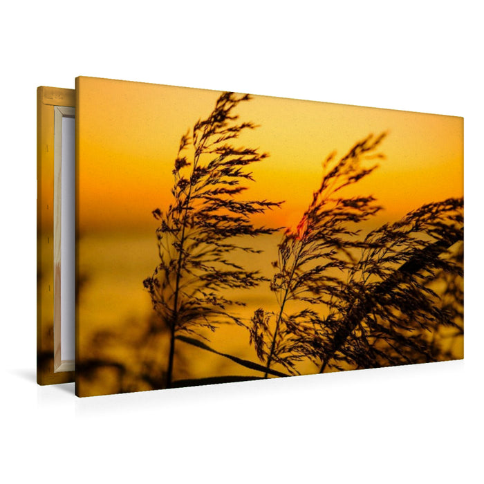 Premium Textil-Leinwand Impressionen am Strand bei Schaprode