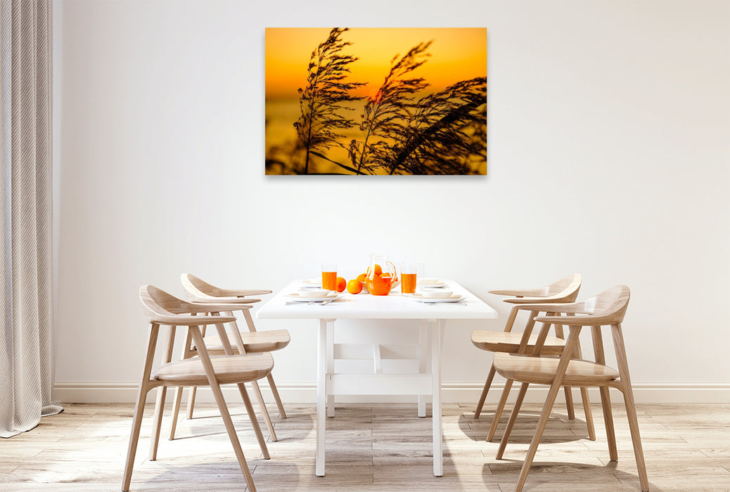 Premium Textil-Leinwand Impressionen am Strand bei Schaprode