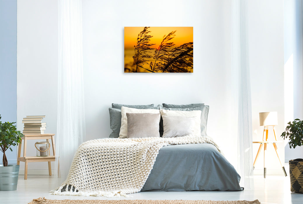 Premium Textil-Leinwand Impressionen am Strand bei Schaprode
