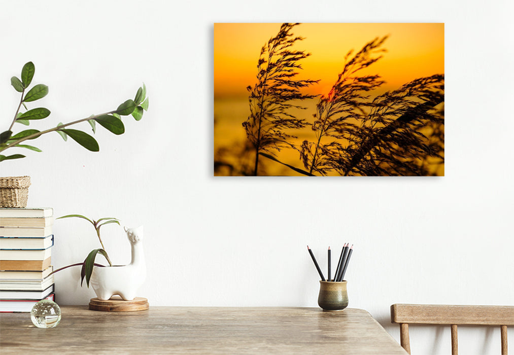 Premium Textil-Leinwand Impressionen am Strand bei Schaprode