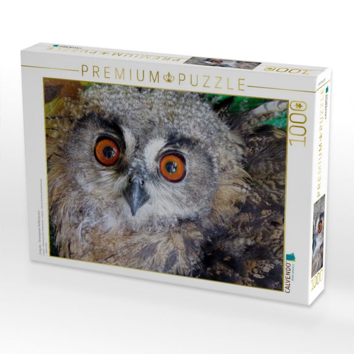 Junguhu - Tierarztpraxis Weidenhausen - CALVENDO Foto-Puzzle'