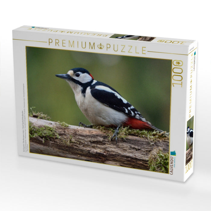Buntspecht / Dendrocopos major / Great Spotted Woodpecker - CALVENDO Foto-Puzzle'