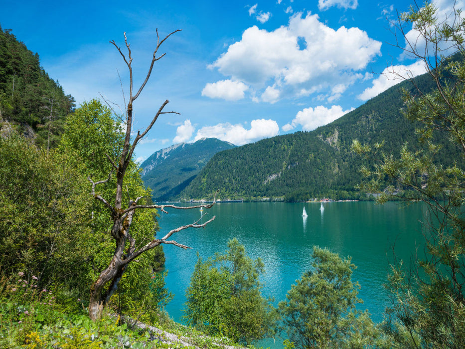 Blick vom Mariensteig - CALVENDO Foto-Puzzle'