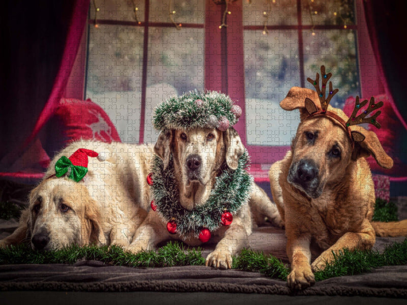 Die drei heiligen Hundekönige - CALVENDO Foto-Puzzle'