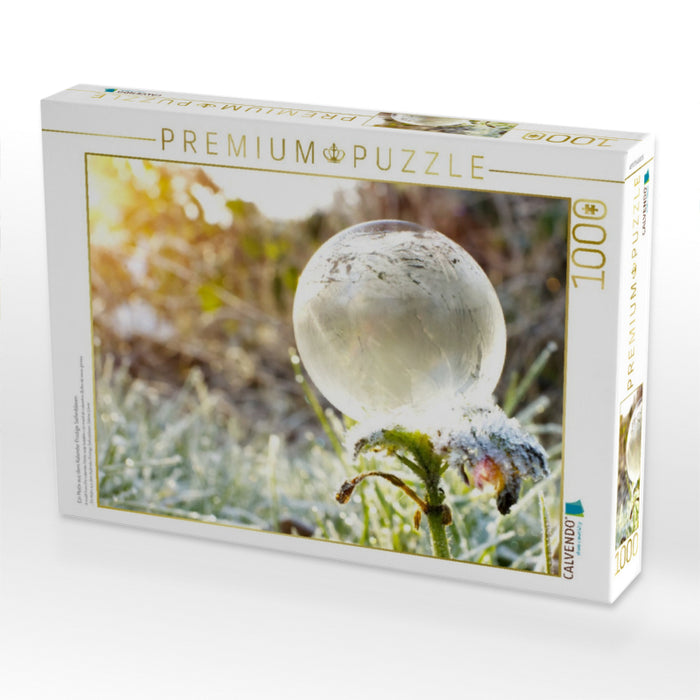Ein Motiv aus dem Kalender Frostige Seifenblasen - CALVENDO Foto-Puzzle'