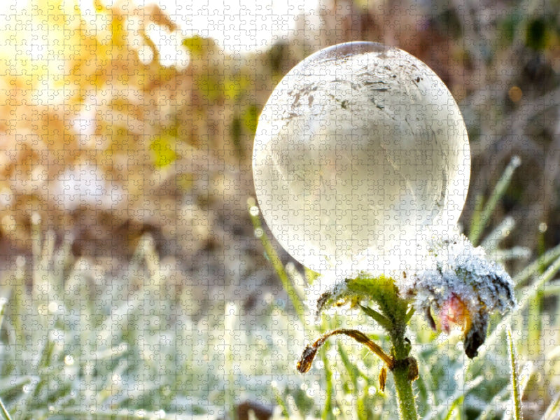 Ein Motiv aus dem Kalender Frostige Seifenblasen - CALVENDO Foto-Puzzle'