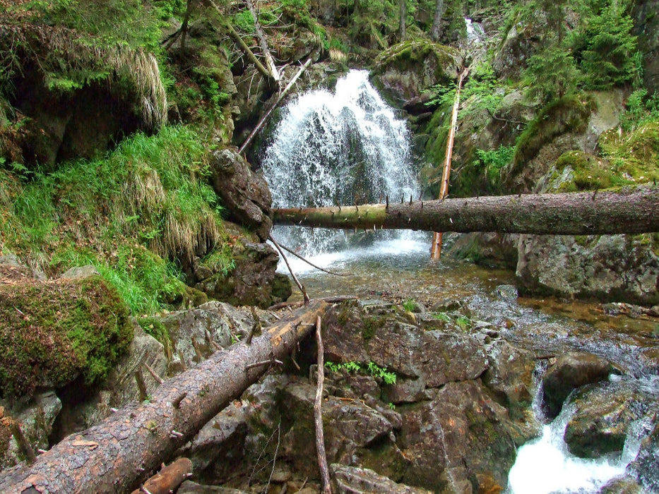 Abstieg über die Rieslochfälle nach Bodenmais - CALVENDO Foto-Puzzle'