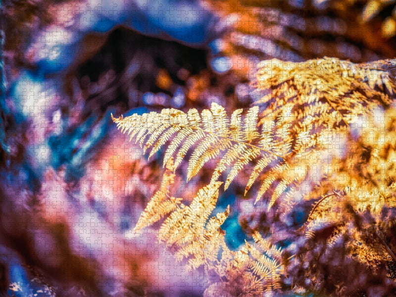 Ein Motiv aus dem Kalender Farne vom Licht umtanzt - CALVENDO Foto-Puzzle'