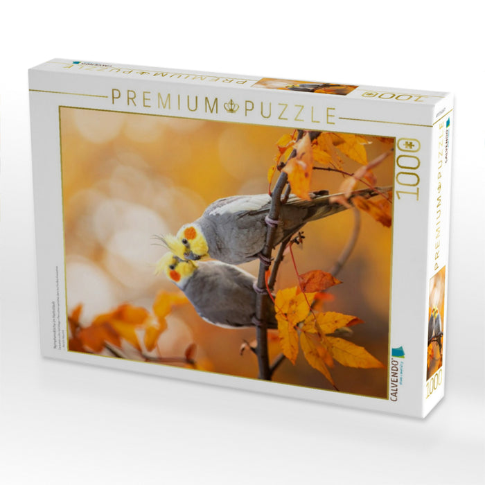 Nymphensittiche im Herbstlaub - CALVENDO Foto-Puzzle'