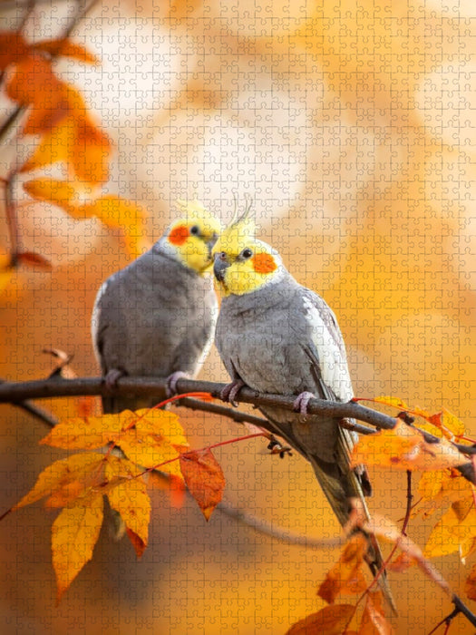 Nymphensittiche im Herbstlaub - CALVENDO Foto-Puzzle'