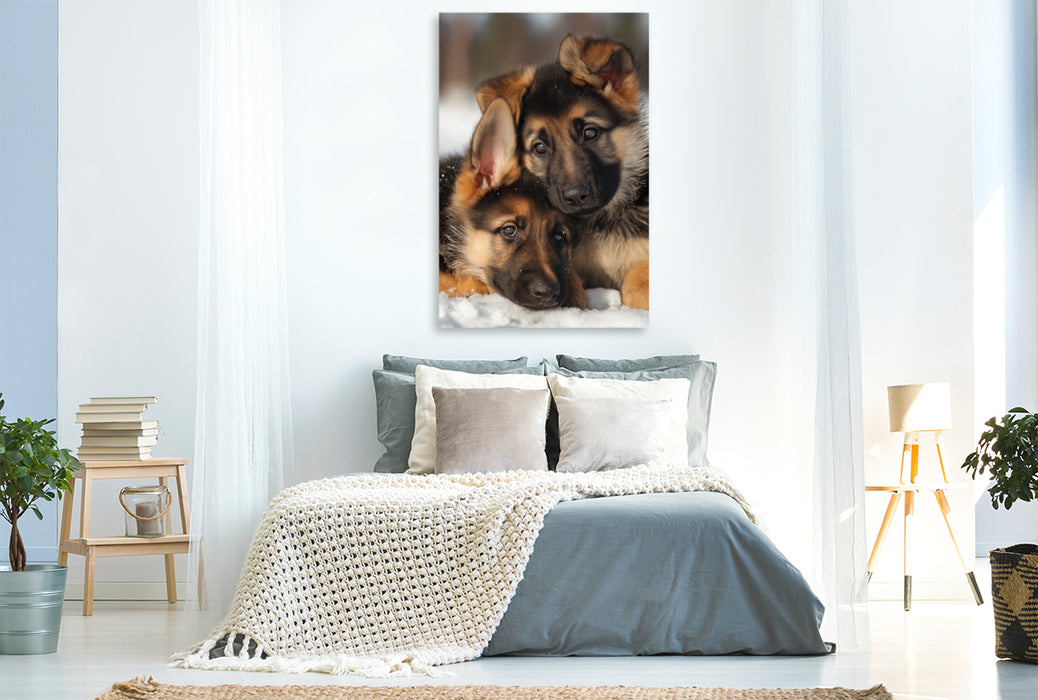 Premium Textil-Leinwand Ein Blick voller Geborgenheit