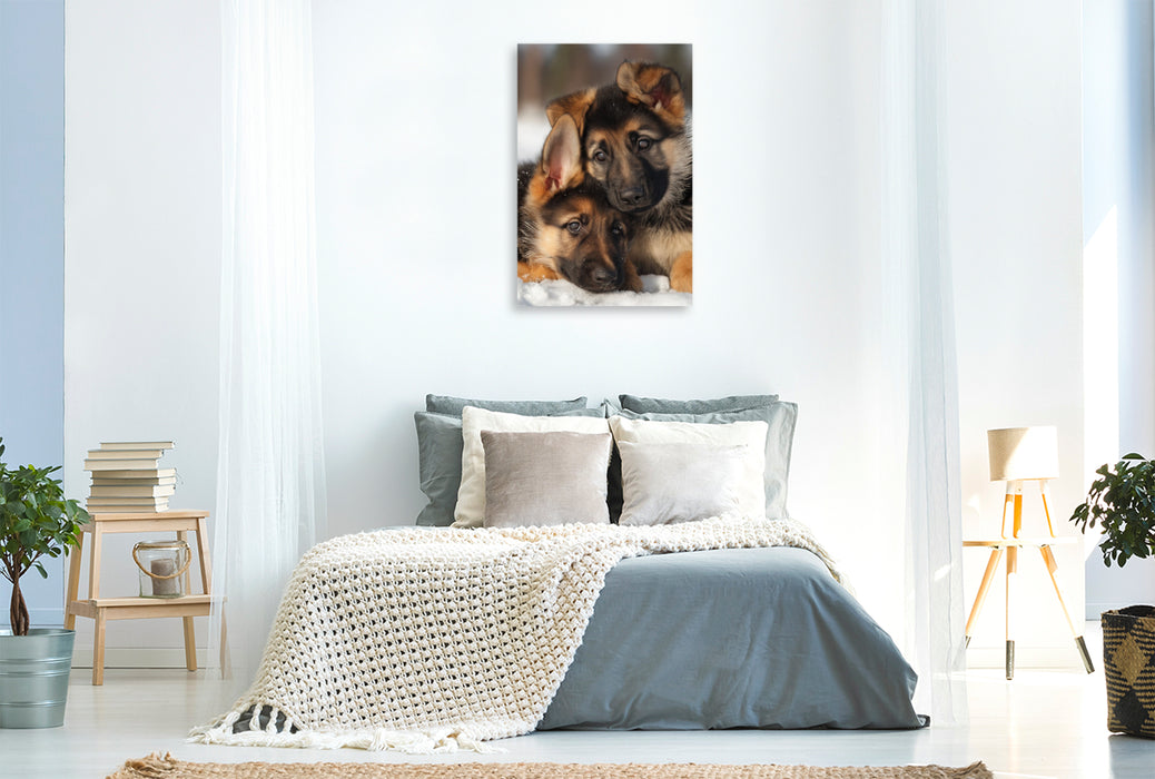Premium Textil-Leinwand Ein Blick voller Geborgenheit