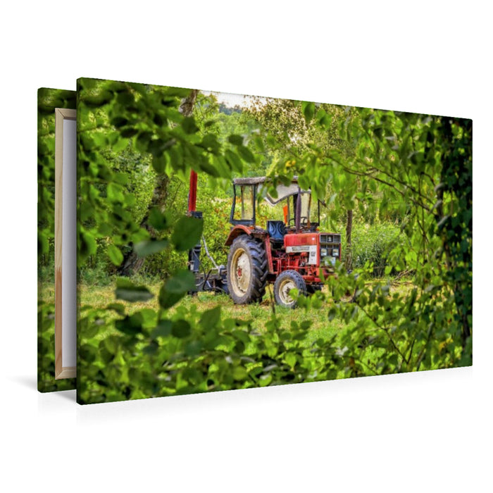 Premium Textil-Leinwand Verlassener alter roter Traktor am Feldrand schaut durch grünes Blattwerk