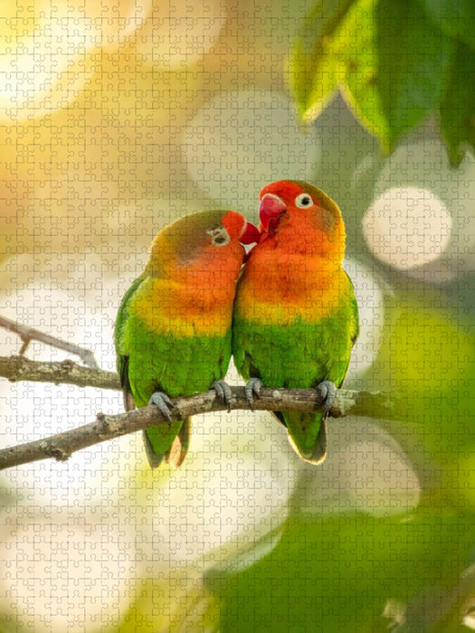 Im Herzen des Sommers vereint - Lovebirds - CALVENDO Foto-Puzzle'