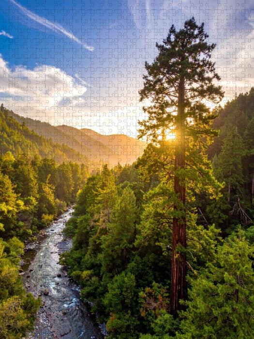 Sonnenaufgang hinter Mammutbaum - CALVENDO Foto-Puzzle'