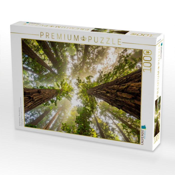 Der Blick hinauf - Mammutbäume - CALVENDO Foto-Puzzle'