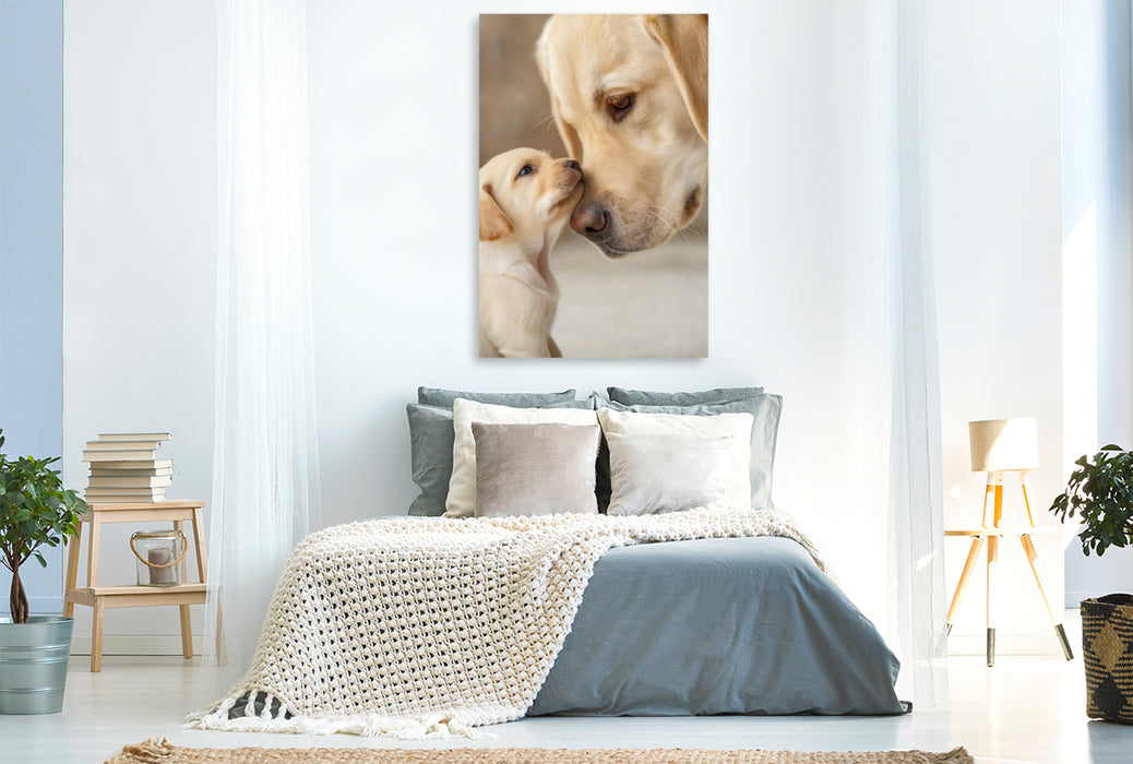 Premium Textil-Leinwand In diesen Augen steckt pures Vertrauen