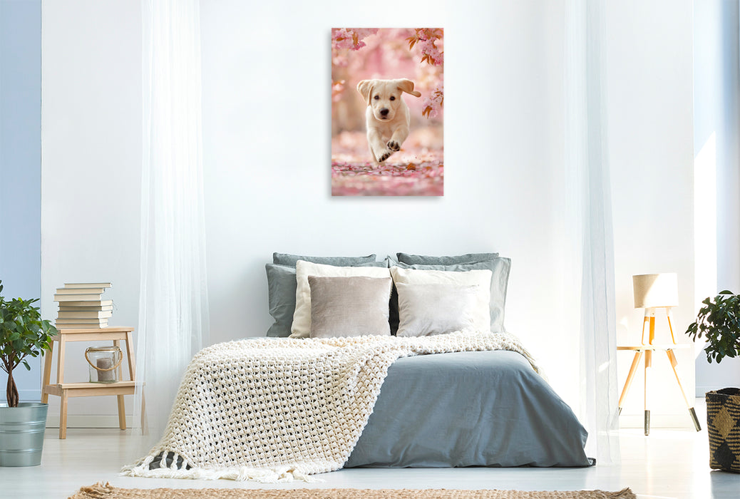 Premium Textil-Leinwand Lebensfreude hat einen Namen, Labrador