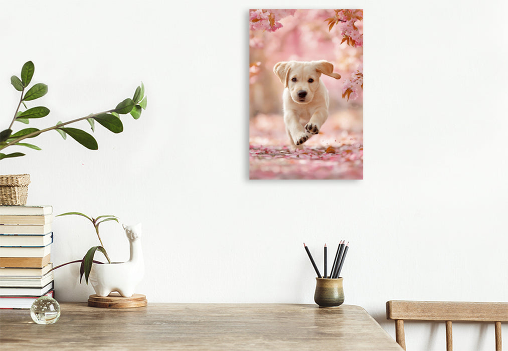 Premium Textil-Leinwand Lebensfreude hat einen Namen, Labrador