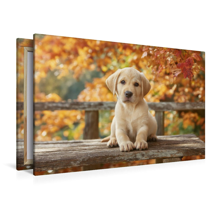 Premium Textil-Leinwand Einfach sein, einfach glücklich, wie ein Labrador