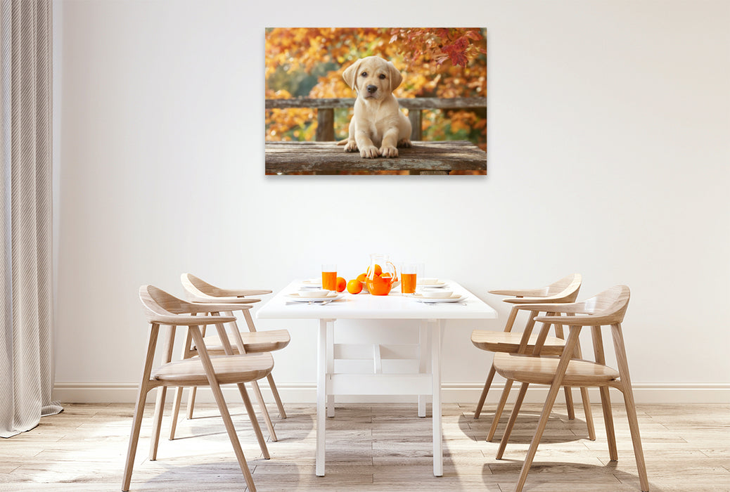 Premium Textil-Leinwand Einfach sein, einfach glücklich, wie ein Labrador