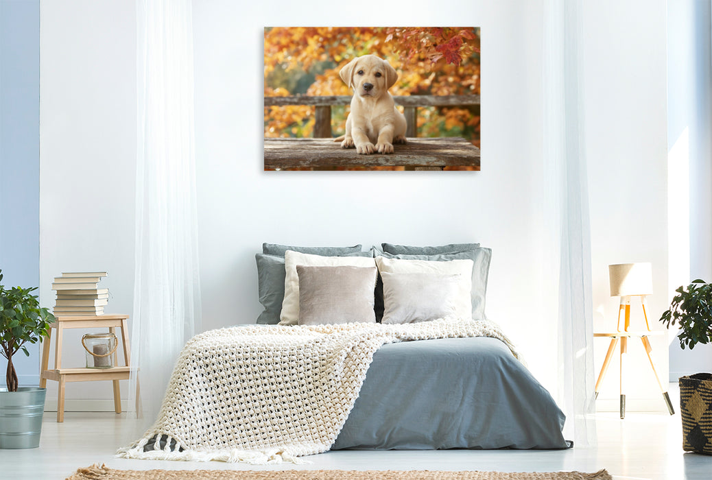 Premium Textil-Leinwand Einfach sein, einfach glücklich, wie ein Labrador