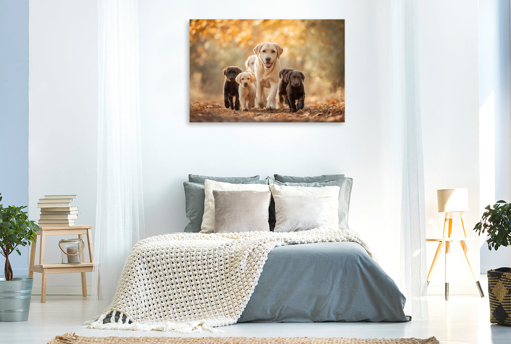 Premium Textil-Leinwand Voller Energie, voller Liebe, voller Leben