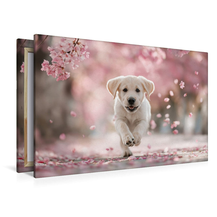 Premium Textil-Leinwand Spielen, lieben und leben, ganz Labrador