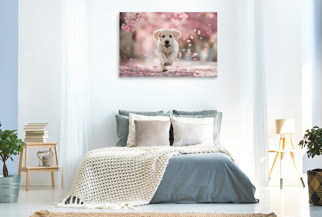 Premium Textil-Leinwand Spielen, lieben und leben, ganz Labrador