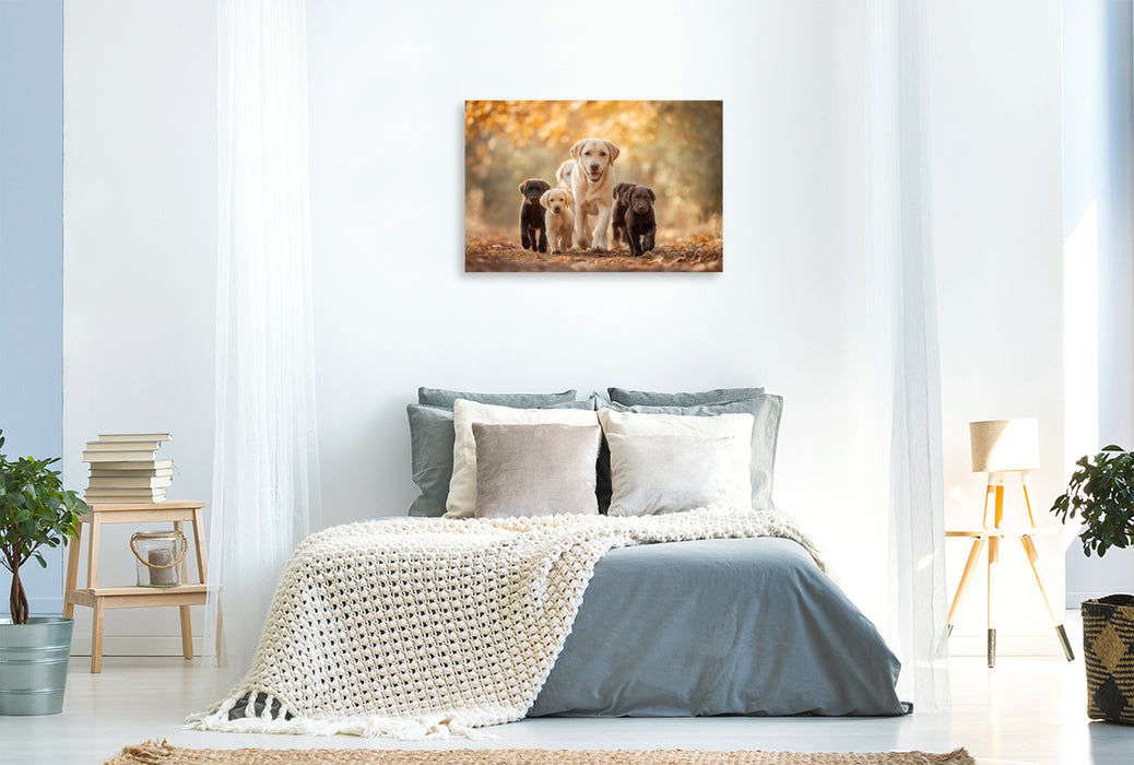 Premium Textil-Leinwand Voller Energie, voller Liebe, voller Leben