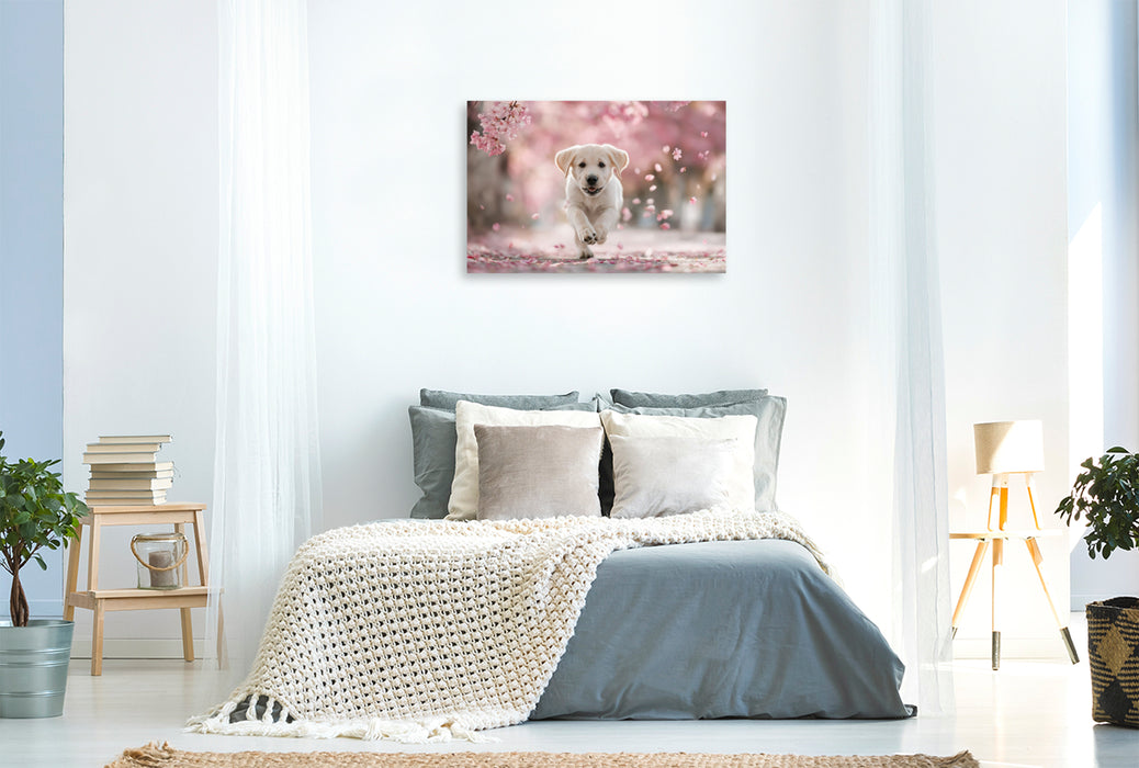 Premium Textil-Leinwand Spielen, lieben und leben, ganz Labrador