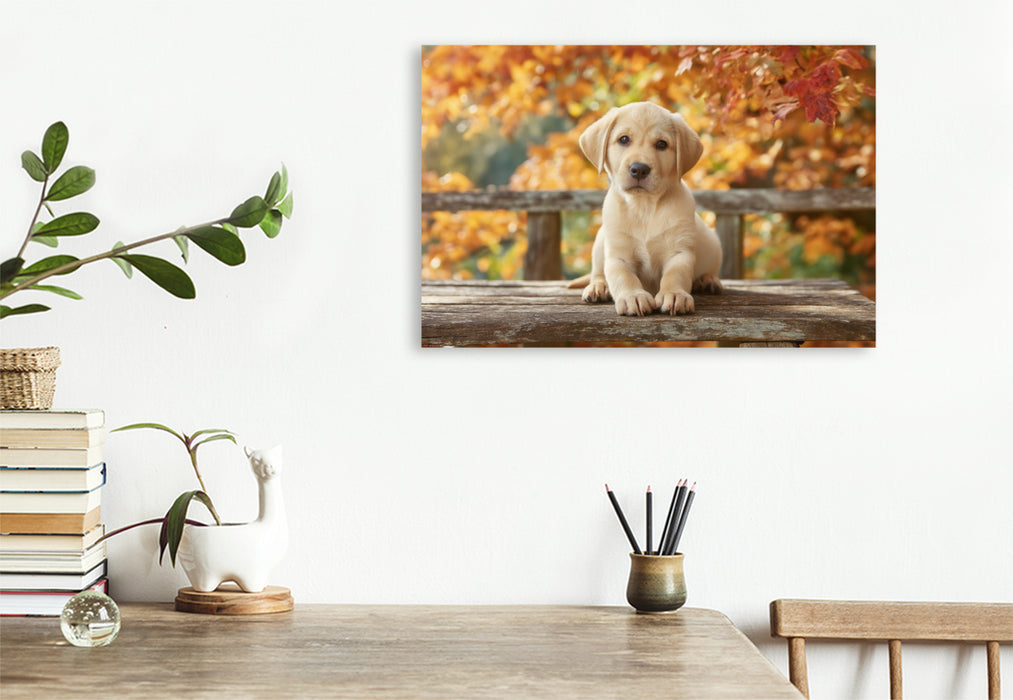 Premium Textil-Leinwand Einfach sein, einfach glücklich, wie ein Labrador