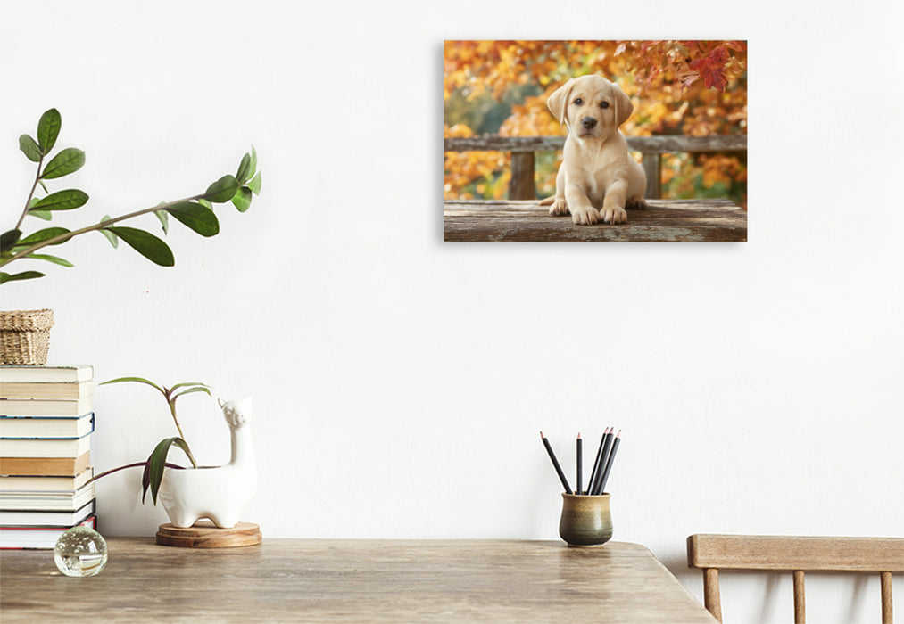 Premium Textil-Leinwand Einfach sein, einfach glücklich, wie ein Labrador
