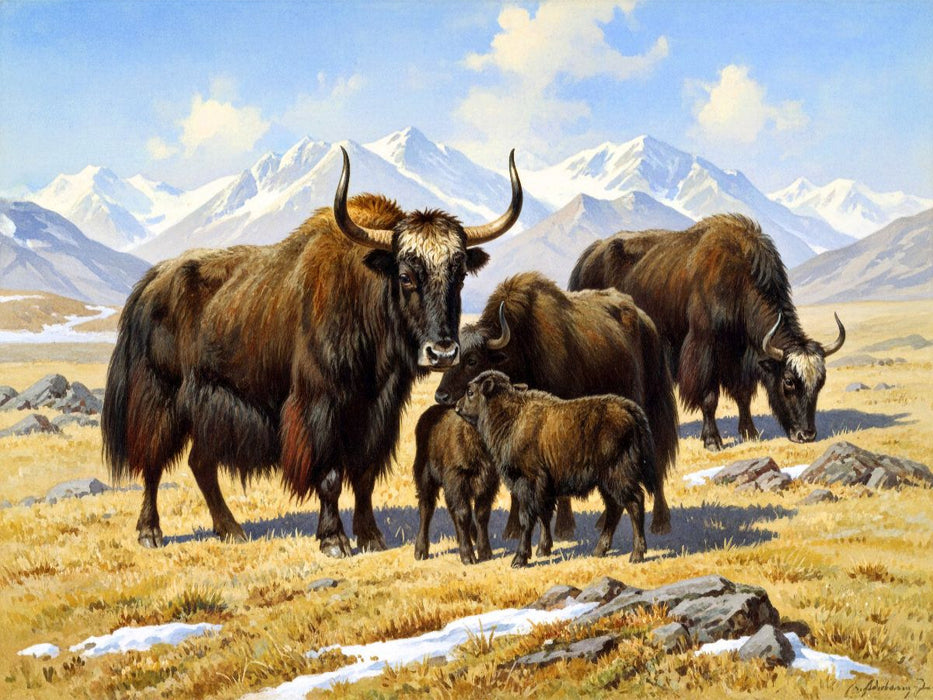 Yak - Herde im Himalaya - im Stil alter Gemälde - CALVENDO Foto-Puzzle'