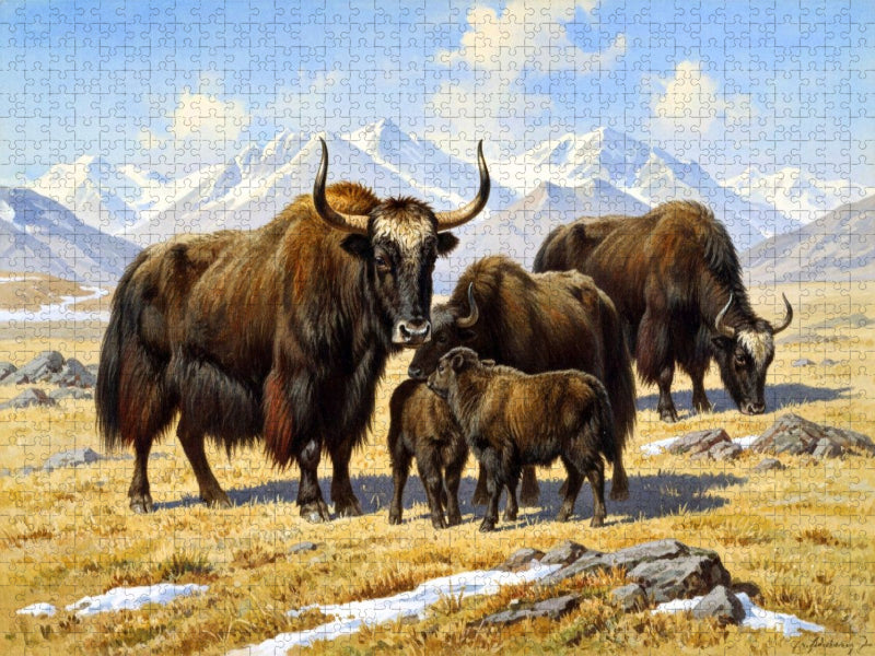 Yak - Herde im Himalaya - im Stil alter Gemälde - CALVENDO Foto-Puzzle'