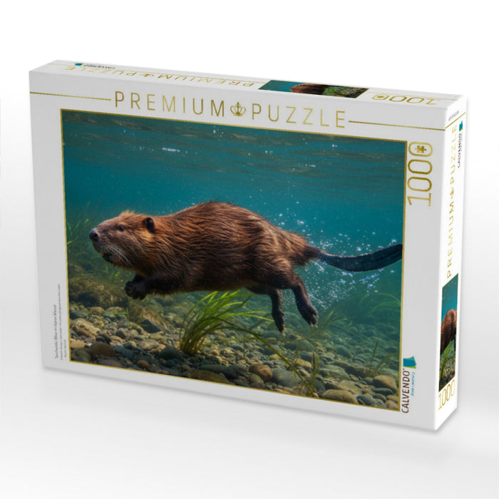 Tauchender Biber im klaren Wasser - CALVENDO Foto-Puzzle'