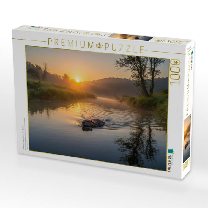 Biber auf morgendlichem Rundgang - CALVENDO Foto-Puzzle'
