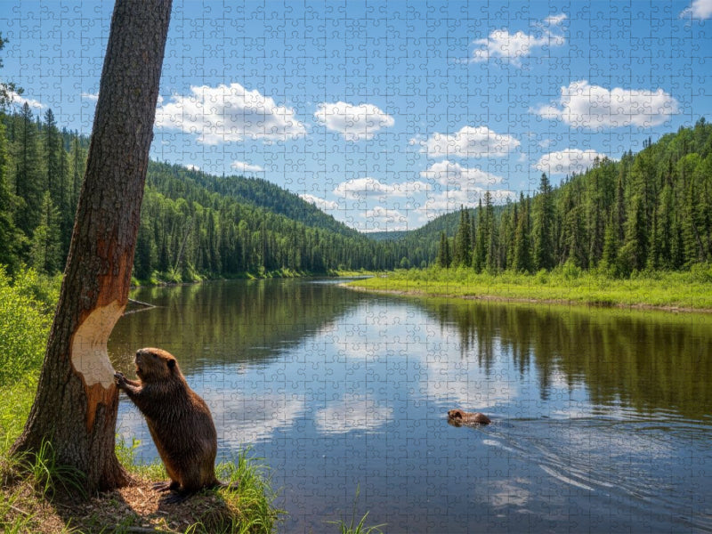 Stille Seen und viel Arbeit - Biber in ihrem Lebensraum - CALVENDO Foto-Puzzle'