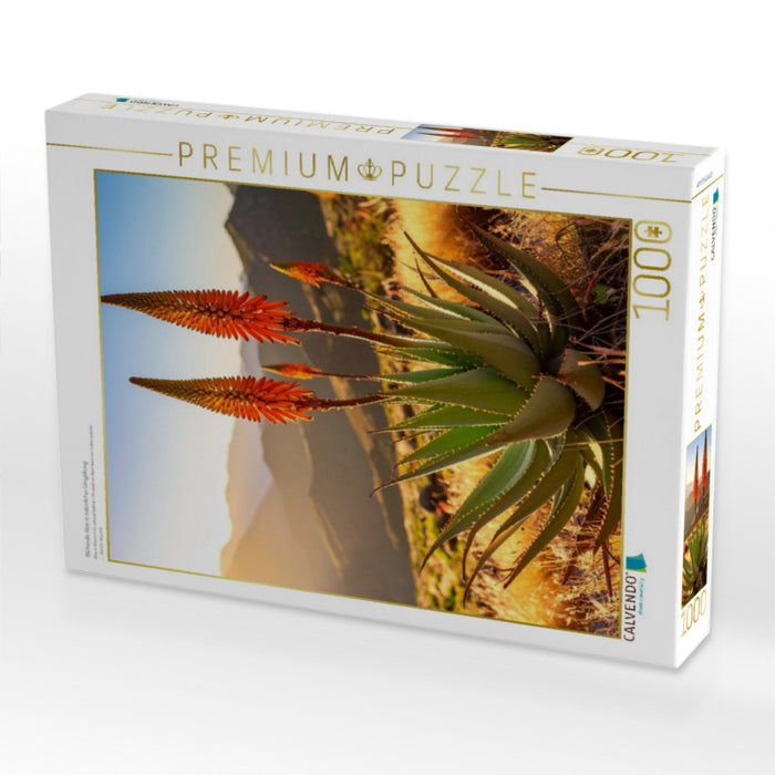Blühende Aloe in natürlicher Umgebung - CALVENDO Foto-Puzzle'