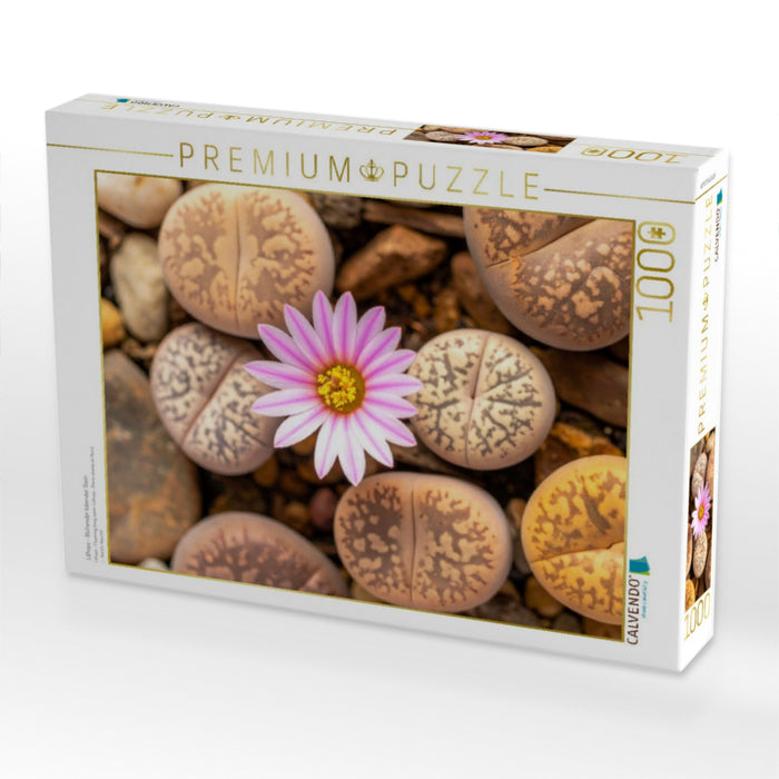 Lithops - Blühender lebender Stein - CALVENDO Foto-Puzzle'