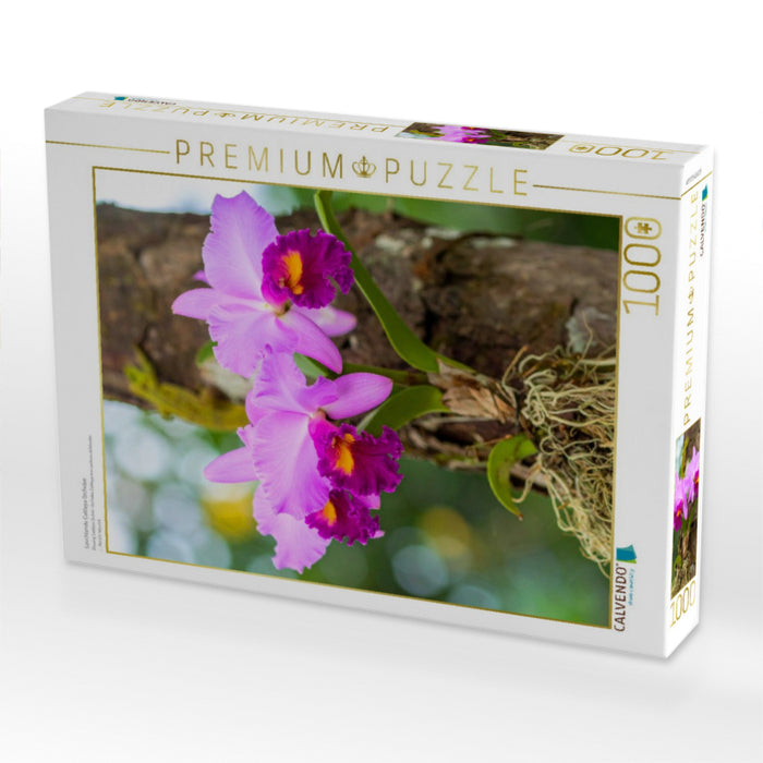 Leuchtende Cattleya Orchidee - CALVENDO Foto-Puzzle'