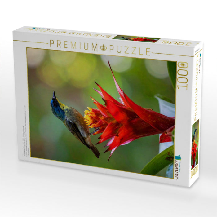 Guzmania - Bromelienblüte mit Vogelbesuch - CALVENDO Foto-Puzzle'