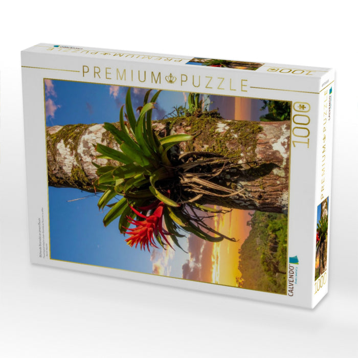Blühende Bromelie an einem Baum - CALVENDO Foto-Puzzle'